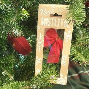 🆕️ NIB Real Dried Bundle of Christmas Xmas Mistletoe Holiday Traditional Decor